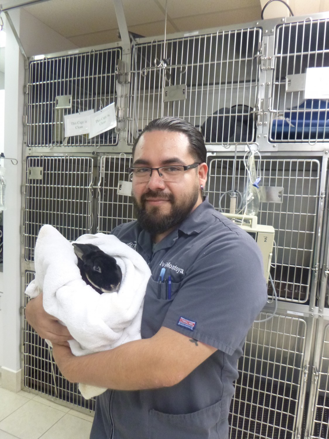 Elvis (Medical Supervisor/ Lead Veterinary Technician):